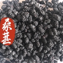 桑葚干桑葚子中药材桑葚新货东弘药业一手货源现货供应中药材
