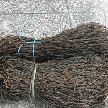 干豇豆