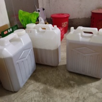湖南永州茶油大量接单产地直发量大从优欢迎来电
