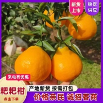 一亩田 | 四川春见柑桔货源 | 供应大厅