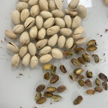 开心果电商货大量现货
