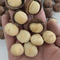 夏威夷果大量现货奶香味