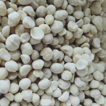 无壳益生菌夏威夷果仁奶香味