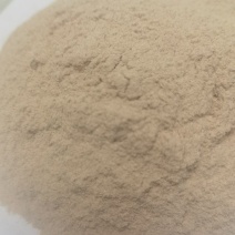 进口烘干木薯淀粉渣