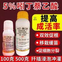 5%吲丁萘乙酸植物生长调节剂促根提高植物成活率