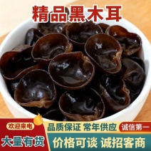 【肉厚无根】Q弹饱满高泡发率产地直发电商**