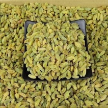 精品葡萄干绿葡萄干大量供应对接电商一件代发