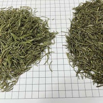 国产迷迭香干货批发煮红酒迷迭香小包装定制量大价优精油提取
