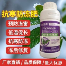 贝乐康磁化抗冻剂抗寒防冻肥预防冻害低温促长冻后修复氨基酸