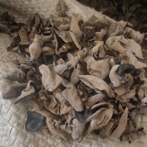 牡丹江绥芬河黑木耳小碗耳特价处理