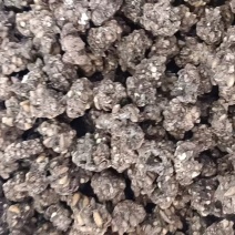 猫爪草，爪长明显产地直发，颗粒饱满，色泽鲜艳，量大从优。