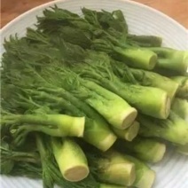 刺嫩芽水煮清水刺嫩芽