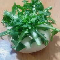 仙居精品盘菜