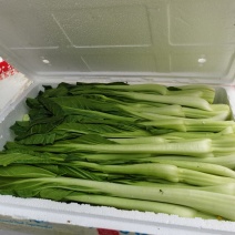 新鲜爽甜，连州迟菜心