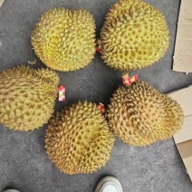 榴莲