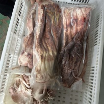 龙趸石斑鱼肚1000克以上