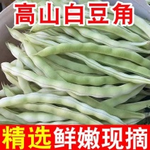 白豆白不老芸豆无筋豆市场货电商货大量供应，一件代发