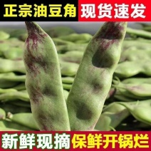 油豆九月青一点红市场货电商货大量供应，一件代发