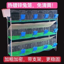 山东兔子笼规格齐全带支架全国代发可视频看货
