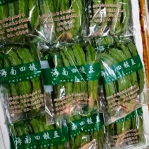 四棱豆新地块