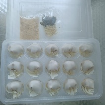 纯手工大馅鲜馄饨