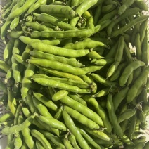 新鲜蚕豆
