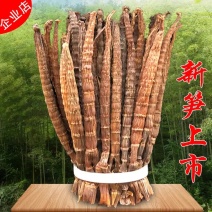 小烟笋，干度好原产地直供