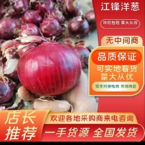【精品紫皮洋葱】基地直供全国发货诚信经营货源充足
