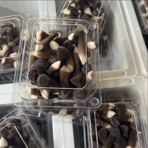 农户直销黑皮鸡枞菌