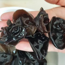 东北黑木耳。大量出货，一箱60斤，包邮，摆摊社区团购超市展会
