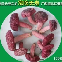 广西浦北县龙门镇野生红菇***免洗产地直销全国发货
