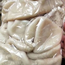 全熟羊肚，常年有货，品质保证，对接全国客户，欢迎合作