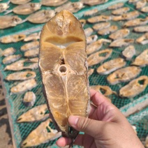 针鱼肉块，干度足干，价格优惠。