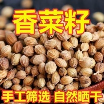 中药材精选正品香菜籽香籽香子芫荽籽香料调料优质