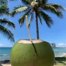 海南文昌椰青原产地直发，支持批发，一件代发