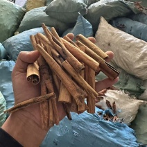 桂皮