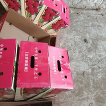 八棱海棠果（花红，贵人果，海棠果！香妃果）