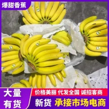 精品香蕉芭蕉不受寒无花皮无硬心不黑心软糯香甜4证齐全