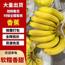 精品特价精品优质香蕉，无花皮无硬心无黑心香糯甜