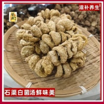 源头厂家石渠白菌大货批发