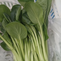 自产自销，便宜甩卖，本人专业种植广东菜心，长年不缺货