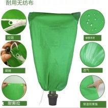 防冻罩植物防寒罩农作物防护网围网植物用网
