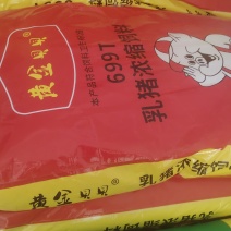 黄金贝贝699t中，大猪浓缩料40蛋白