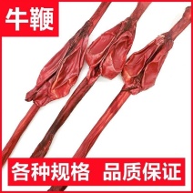 牛鞭整根带睾丸干货中药材泡酒料男性滋补养生规格齐全