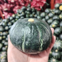 贝贝南瓜🎃包粉糯(精品)诚信第一，好货不怕比！