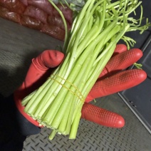 去根去叶苏北藜蒿芦蒿