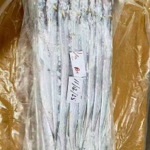 钓带全规格