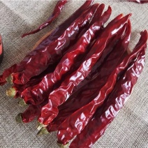 四川木马山二荆条微辣香，薄皮二荆条红油二荆条