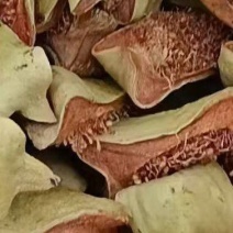 霹雳果
