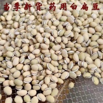 白扁豆云南道地白扁豆无硫新货保质保量一公斤起批